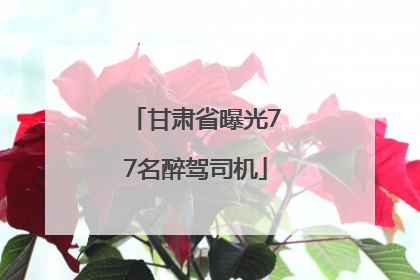 甘肃省曝光77名醉驾司机