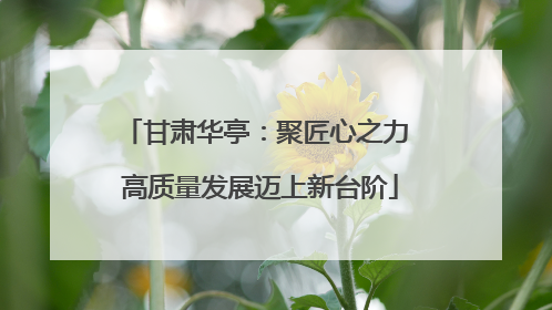 甘肃华亭：聚匠心之力 高质量发展迈上新台阶