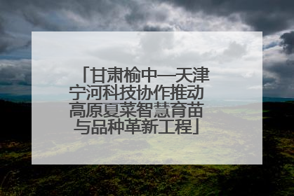 甘肃榆中—天津宁河科技协作推动高原夏菜智慧育苗与品种革新工程