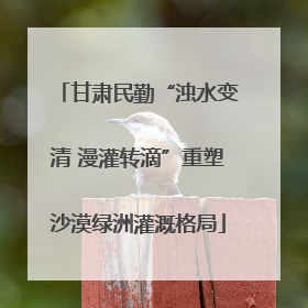 甘肃民勤“浊水变清 漫灌转滴”重塑沙漠绿洲灌溉格局