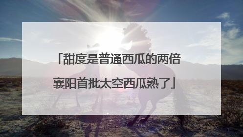 甜度是普通西瓜的两倍 襄阳首批太空西瓜熟了
