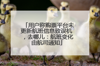 用户称购票平台未更新航班信息致误机，去哪儿：航班变化由航司通知