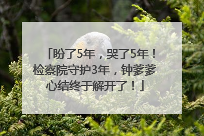 盼了5年，哭了5年！检察院守护3年，钟爹爹心结终于解开了！