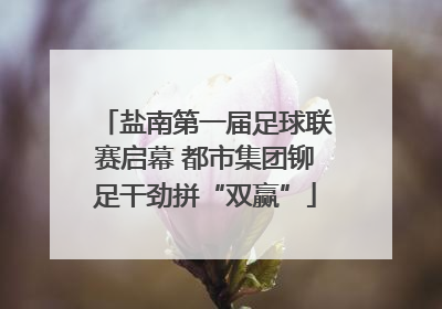 盐南第一届足球联赛启幕 都市集团铆足干劲拼“双赢”