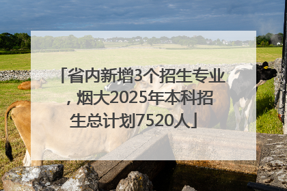 省内新增3个招生专业，烟大2025年本科招生总计划7520人