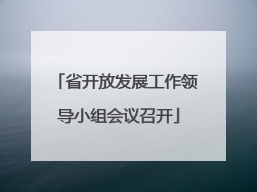 省开放发展工作领导小组会议召开