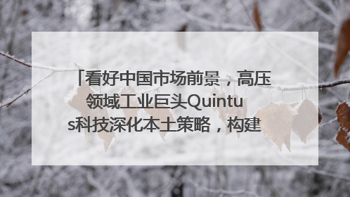 看好中国市场前景，高压领域工业巨头Quintus科技深化本土策略，构建全方位服务亚太区总部