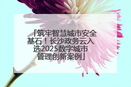 筑牢智慧城市安全基石！长沙政务云入选2025数字城市管理创新案例