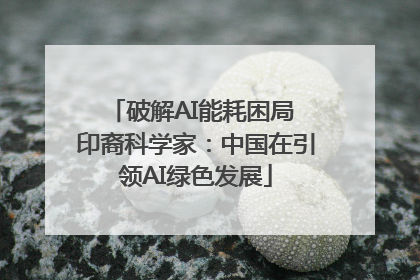 破解AI能耗困局 印裔科学家：中国在引领AI绿色发展