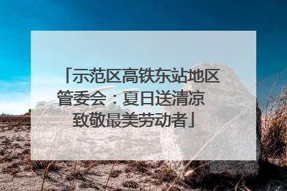 示范区高铁东站地区管委会：夏日送清凉 致敬最美劳动者