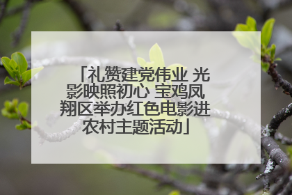 礼赞建党伟业 光影映照初心 宝鸡凤翔区举办红色电影进农村主题活动