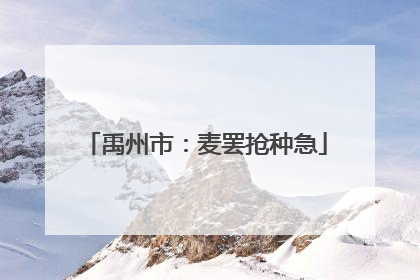 禹州市：麦罢抢种急