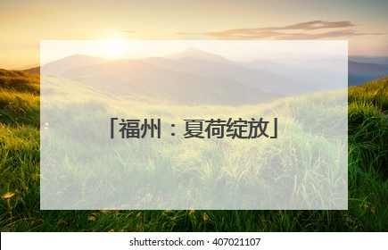 福州：夏荷绽放