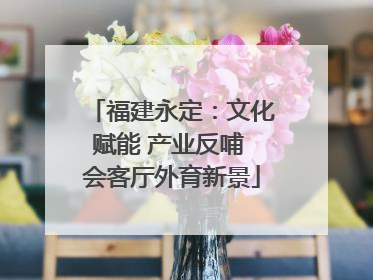 福建永定：文化赋能 产业反哺 会客厅外育新景