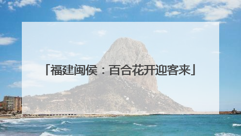 福建闽侯：百合花开迎客来