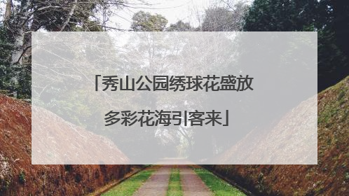 秀山公园绣球花盛放 多彩花海引客来