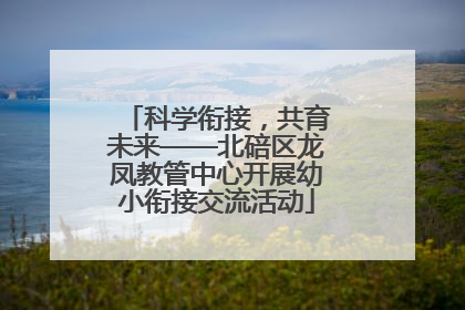 科学衔接，共育未来——北碚区龙凤教管中心开展幼小衔接交流活动