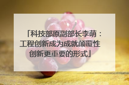 科技部原副部长李萌：工程创新成为成就颠覆性创新更重要的形式