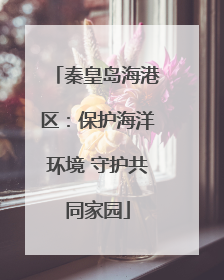 秦皇岛海港区：保护海洋环境 守护共同家园