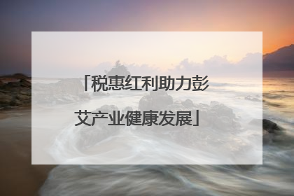 税惠红利助力彭艾产业健康发展