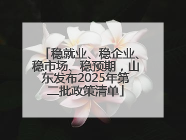 稳就业、稳企业、稳市场、稳预期，山东发布2025年第二批政策清单