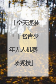 空天逐梦！千名青少年无人机赛场秀技