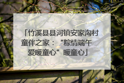 竹溪县县河镇安家沟村童伴之家：“粽情端午 爱暖童心”暖童心