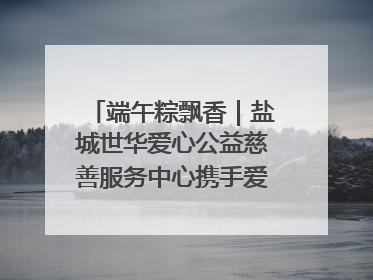 端午粽飘香｜盐城世华爱心公益慈善服务中心携手爱心企业发起情暖“城市守护者”慰问活动