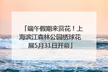 端午假期来赏花！上海滨江森林公园绣球花展5月31日开幕