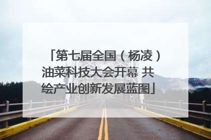 第七届全国（杨凌）油菜科技大会开幕 共绘产业创新发展蓝图
