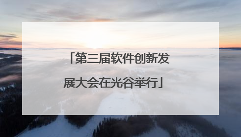 第三届软件创新发展大会在光谷举行