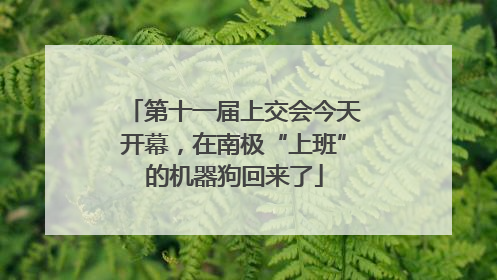 第十一届上交会今天开幕，在南极“上班”的机器狗回来了