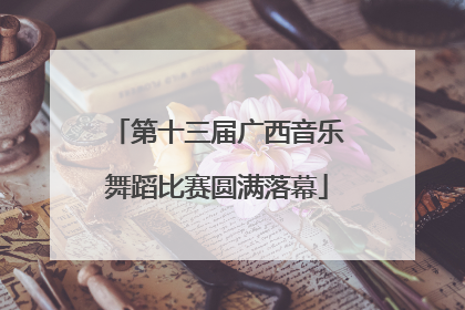 第十三届广西音乐舞蹈比赛圆满落幕