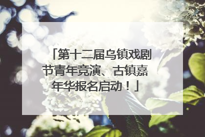 第十二届乌镇戏剧节青年竞演、古镇嘉年华报名启动！