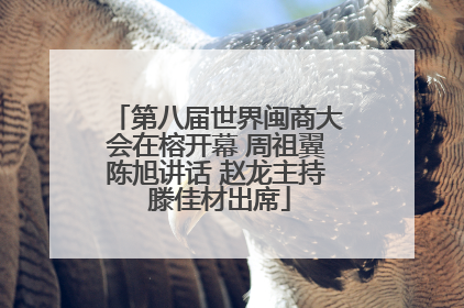 第八届世界闽商大会在榕开幕 周祖翼陈旭讲话 赵龙主持 滕佳材出席