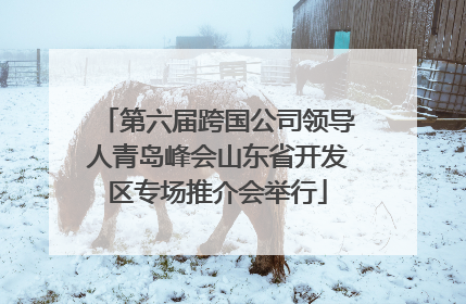 第六届跨国公司领导人青岛峰会山东省开发区专场推介会举行