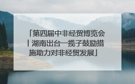 第四届中非经贸博览会丨湖南出台一揽子鼓励措施助力对非经贸发展