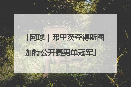 网球｜弗里茨夺得斯图加特公开赛男单冠军