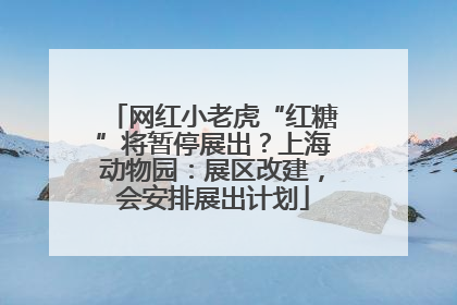 网红小老虎“红糖”将暂停展出？上海动物园：展区改建，会安排展出计划