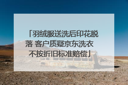羽绒服送洗后印花脱落 客户质疑京东洗衣不按折旧标准赔偿