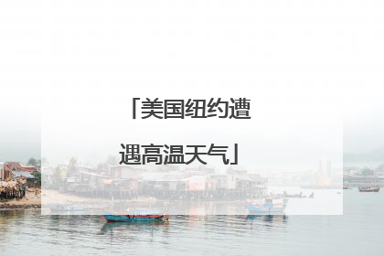 美国纽约遭遇高温天气