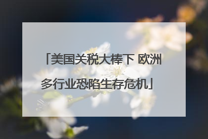 美国关税大棒下 欧洲多行业恐陷生存危机
