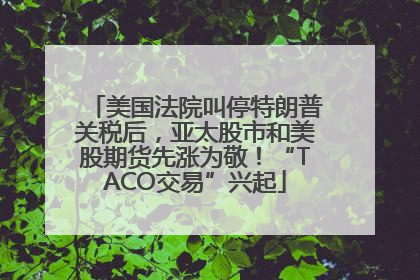 美国法院叫停特朗普关税后，亚太股市和美股期货先涨为敬！“TACO交易”兴起