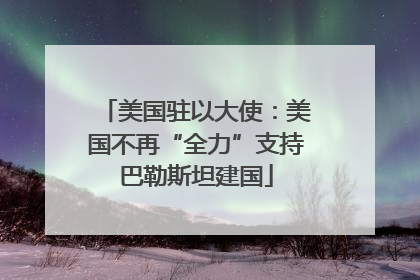 美国驻以大使：美国不再“全力”支持巴勒斯坦建国