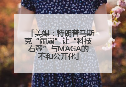 美媒：特朗普马斯克“闹崩”让“科技右翼”与MAGA的不和公开化