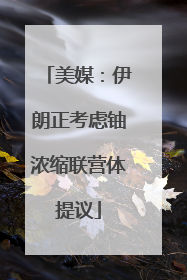 美媒：伊朗正考虑铀浓缩联营体提议