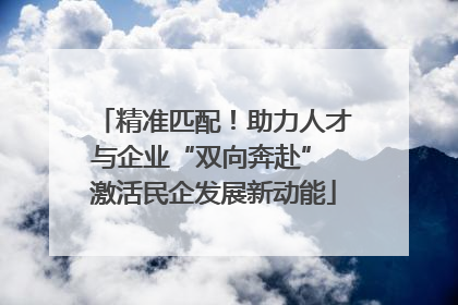 精准匹配！助力人才与企业“双向奔赴” 激活民企发展新动能
