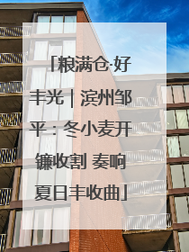 粮满仓·好丰光｜滨州邹平：冬小麦开镰收割 奏响夏日丰收曲