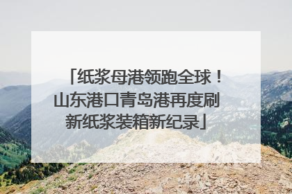 纸浆母港领跑全球！山东港口青岛港再度刷新纸浆装箱新纪录