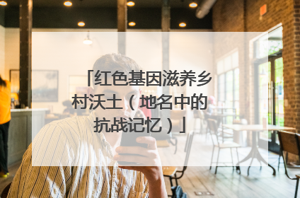 红色基因滋养乡村沃土（地名中的抗战记忆）